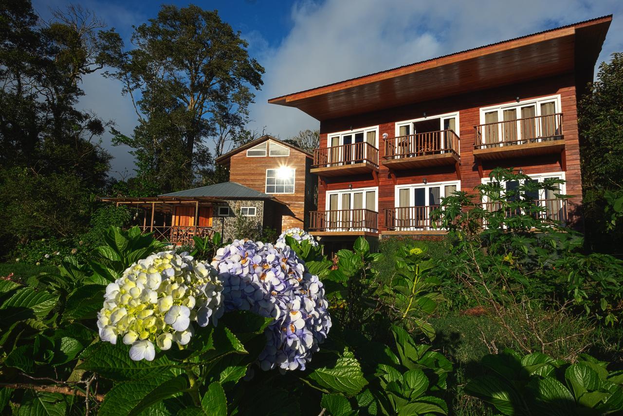 Hotel Bosque Verde Lodge Monteverde Стая снимка