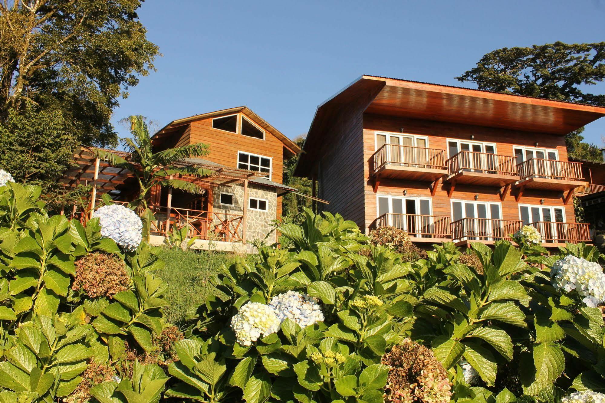 Hotel Bosque Verde Lodge Monteverde Екстериор снимка