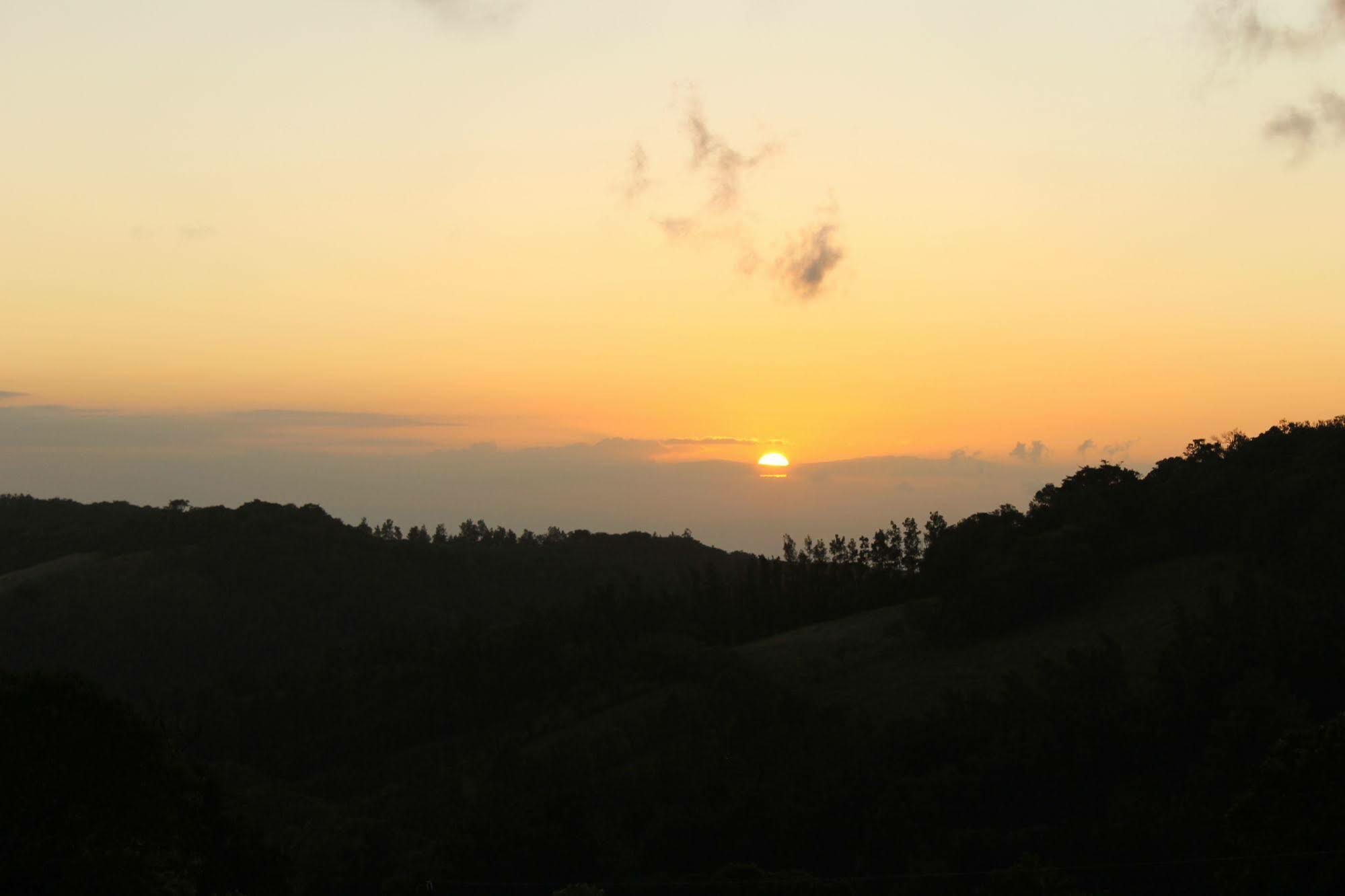 Hotel Bosque Verde Lodge Monteverde Екстериор снимка